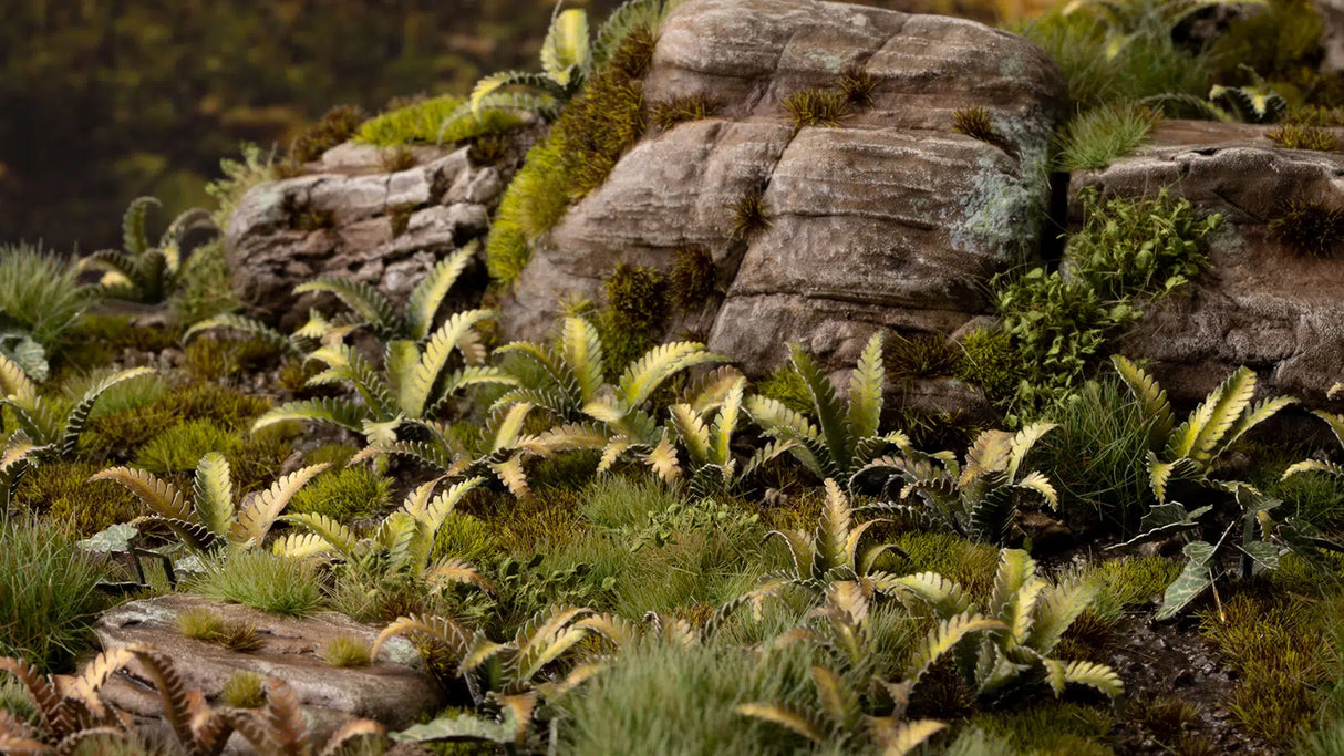 Deer Fern