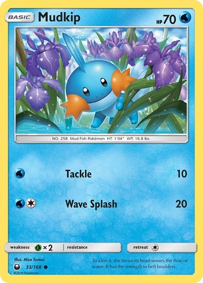 Mudkip - 33/168 (Common) [CES-33-C]