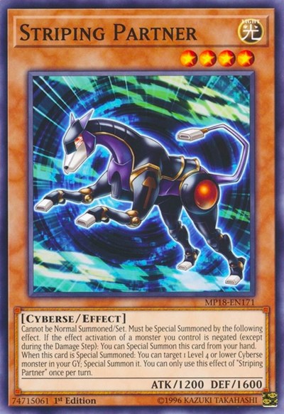 Striping Partner (Common) [MP18-EN171-C]