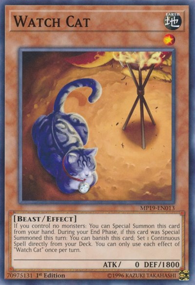 Watch Cat (Common) [MP19-EN013-C]
