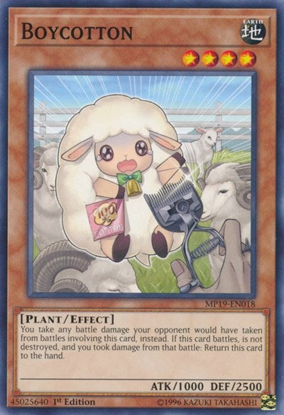 Boycotton (Common) [MP19-EN018-C]