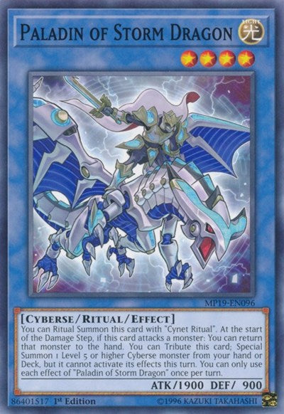 Paladin of Storm Dragon (Common) [MP19-EN096-C]
