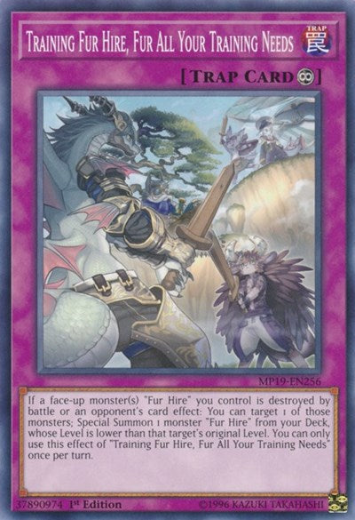 Training Fur Hire, Fur All Your Training Needs (Common) [MP19-EN256-C]