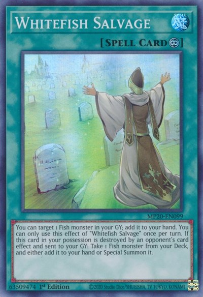 Whitefish Salvage (Super Rare) [MP20-EN099-SuR]