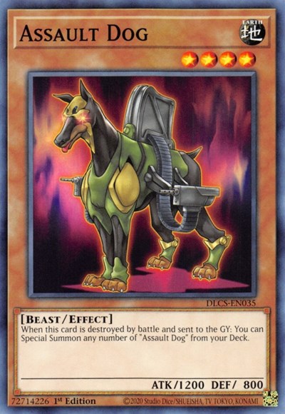 Assault Dog (Common) [DLCS-EN035-C]