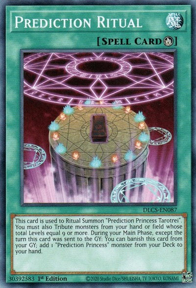 Prediction Ritual (Common) [DLCS-EN087-C]