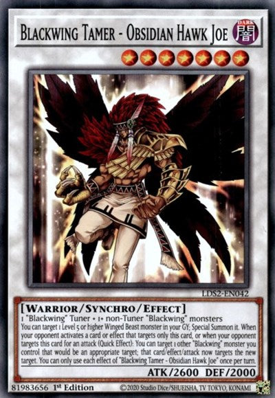 Blackwing Tamer - Obsidian Hawk Joe (Common) [LDS2-EN042-C]