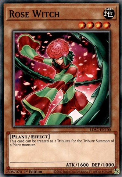 Rose Witch (Common) [LDS2-EN100-C]