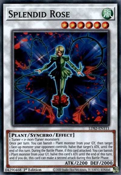 Splendid Rose (Common) [LDS2-EN111-C]