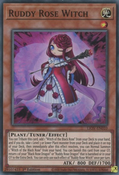 Ruddy Rose Witch (Super Rare) [LIOV-EN010-SuR]