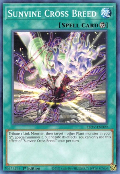Sunvine Cross Breed (Common) [LIOV-EN099-C]