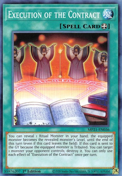 Execution of the Contract (Common) [MP21-EN036-C]