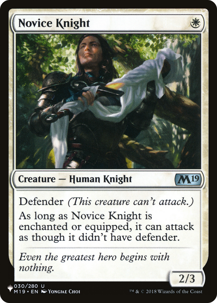 Novice Knight [PLST-M19-30]