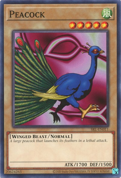 Peacock (Common) [SRL-EN011-C]