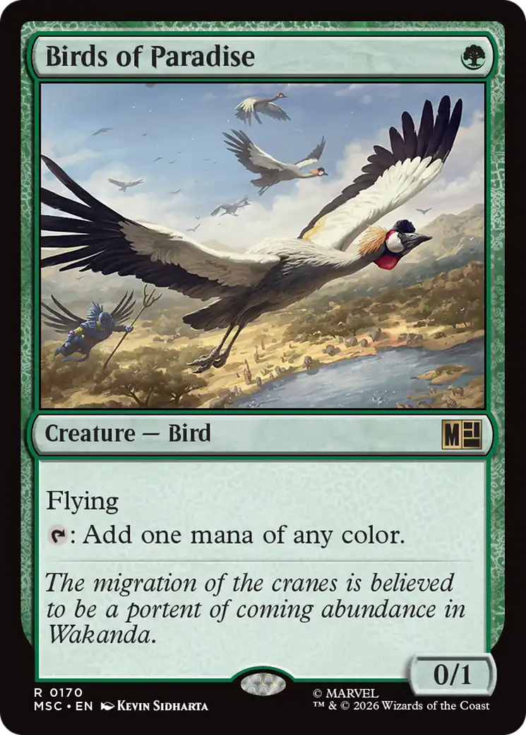 Birds of Paradise [MSC-170]