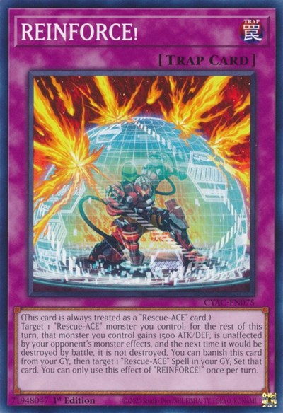 REINFORCE! (Common) [CYAC-EN075-C]