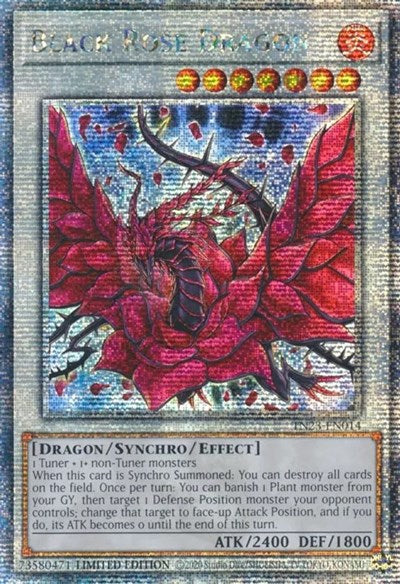 Black Rose Dragon (Quarter Century Secret Rare) [TN23-EN014-QCSR]