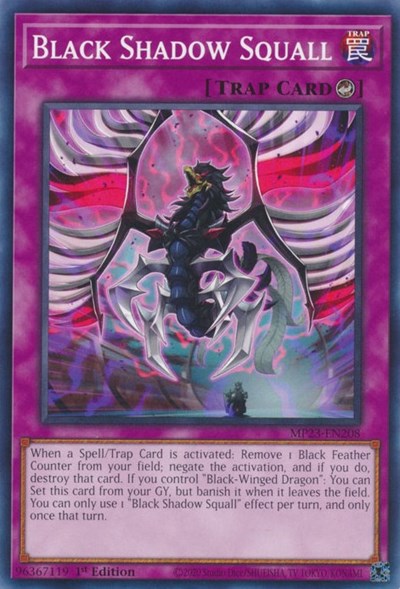 Black Shadow Squall (Common) [MP23-EN208-C]