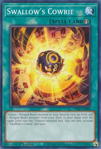 Swallow's Cowrie (Common) [PHNI-EN088-C]