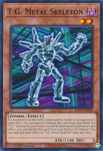 T.G. Metal Skeleton (Common) [BLC1-EN090-C]