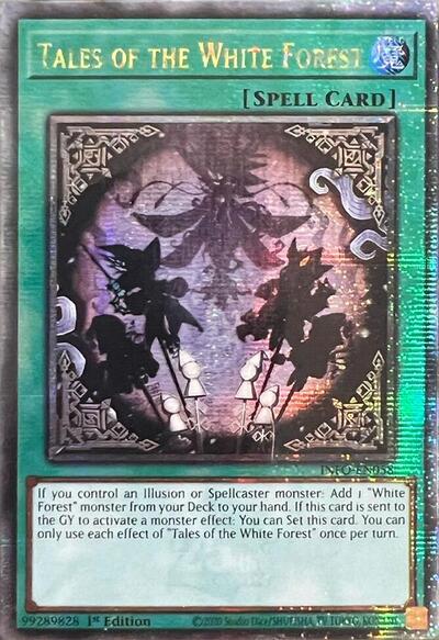Tales of the White Forest (Quarter Century Secret Rare) [INFO-EN058-QCSR]