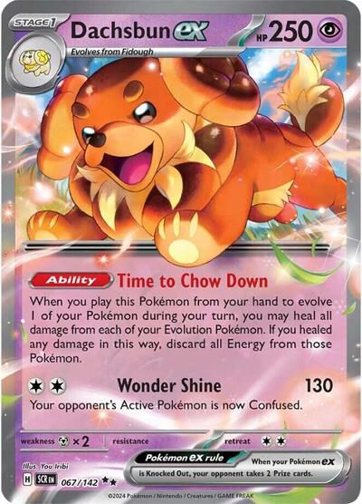 Dachsbun ex - 067/142 (Double Rare) [SCR-067-DR]