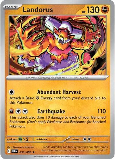 Landorus - 053/086 (Rare) [BLK-053-R]