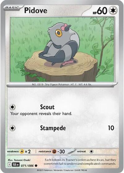 Pidove - 071/086 (Common) [BLK-071-C]