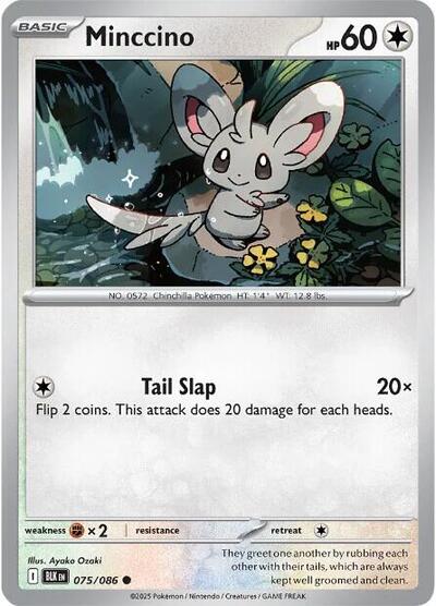Minccino - 075/086 (Common) [BLK-075-C]