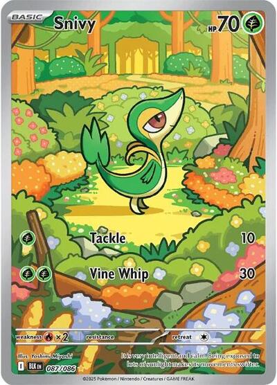 Snivy - 087/086 (Illustration Rare) [BLK-087-IR]
