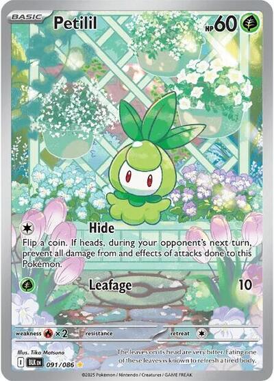 Petilil - 091/086 (Illustration Rare) [BLK-091-IR]