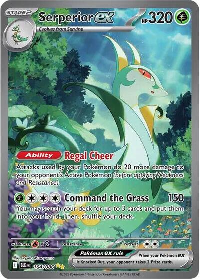 Serperior ex - 164/086 (Special Illustration Rare) [BLK-164-SIR]