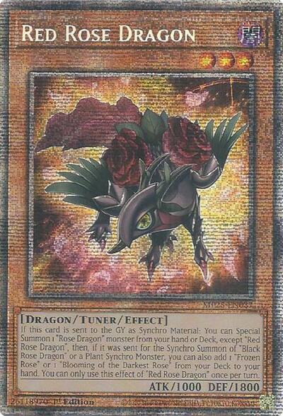 Red Rose Dragon (Starlight Rare) [MP25-EN037-StR]
