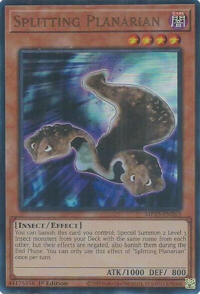 Splitting Planarian (Ultra Rare) [MP25-EN263-UR]