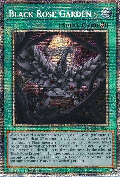 Black Rose Garden (Starlight Rare) [DOOD-EN055-StR]