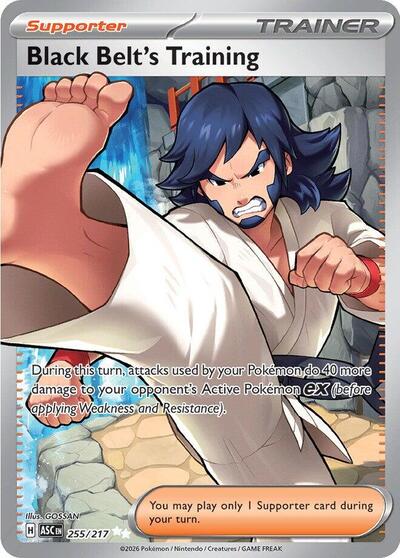 Black Belt's Training - 255/217 (Ultra Rare) [ASC-255-UR]