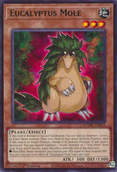 Eucalyptus Mole (Rare) [MZMU-EN021-R]