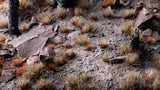 Burned (6mm)