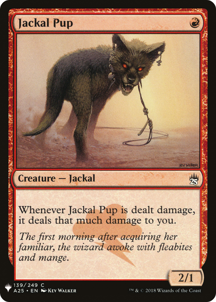 Jackal Pup [PLST-A25-139]