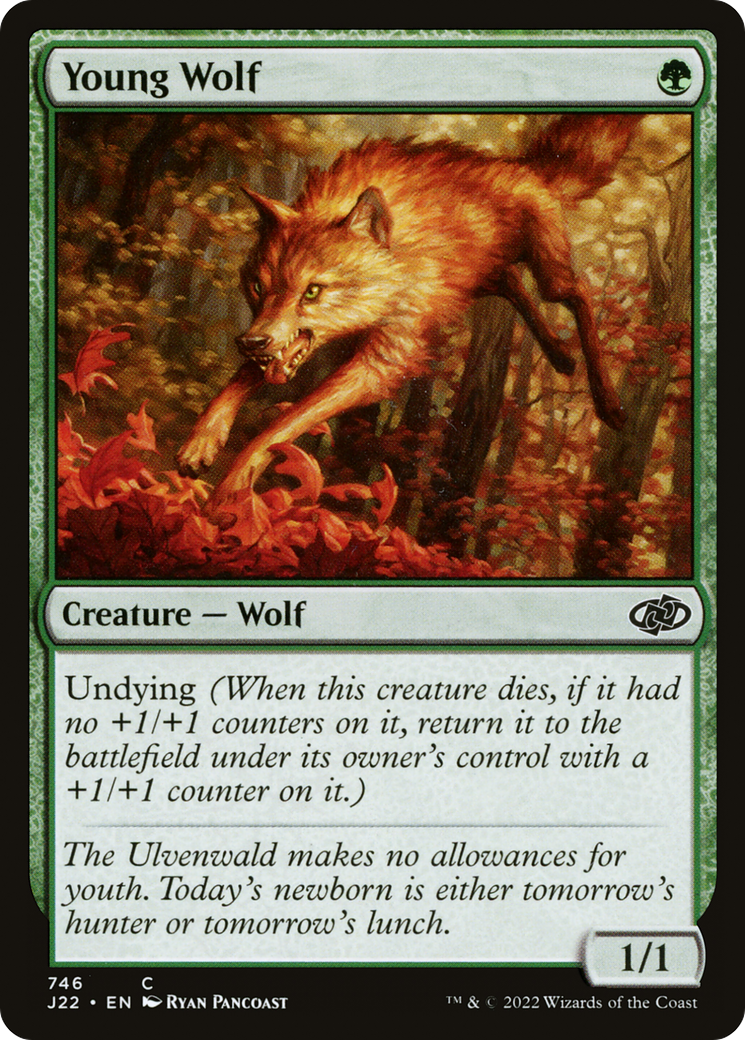 Young Wolf [J22-746]