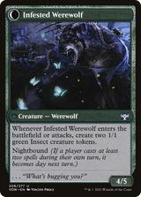 Infestation Expert // Infested Werewolf [VOW-206]