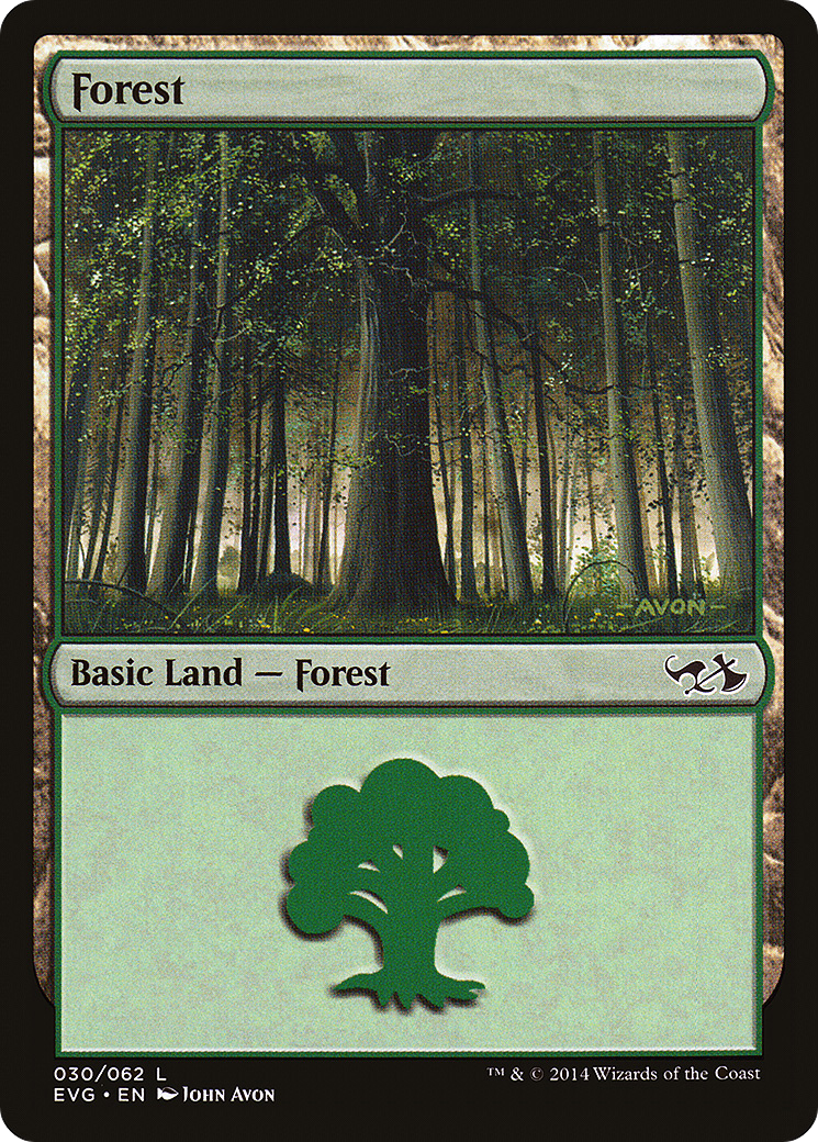 Forest [EVG-30]