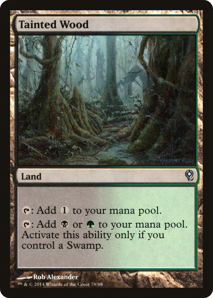 Tainted Wood [DDM-78]