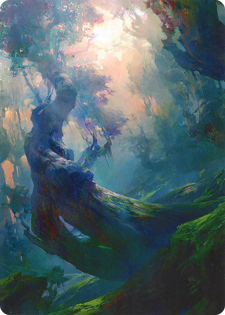 Forest // Forest - Borderless [AZNR-21]