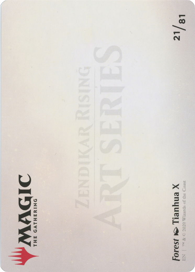 Forest // Forest - Borderless [AZNR-21]