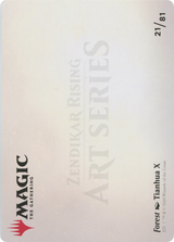 Forest // Forest - Borderless [AZNR-21]