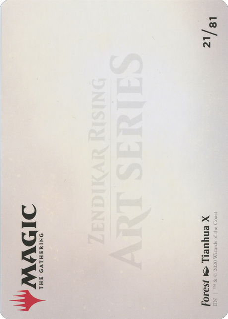 Forest // Forest - Borderless [AZNR-21]