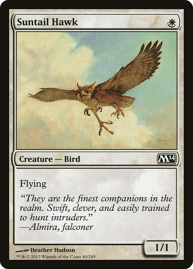 Suntail Hawk [M14-40]