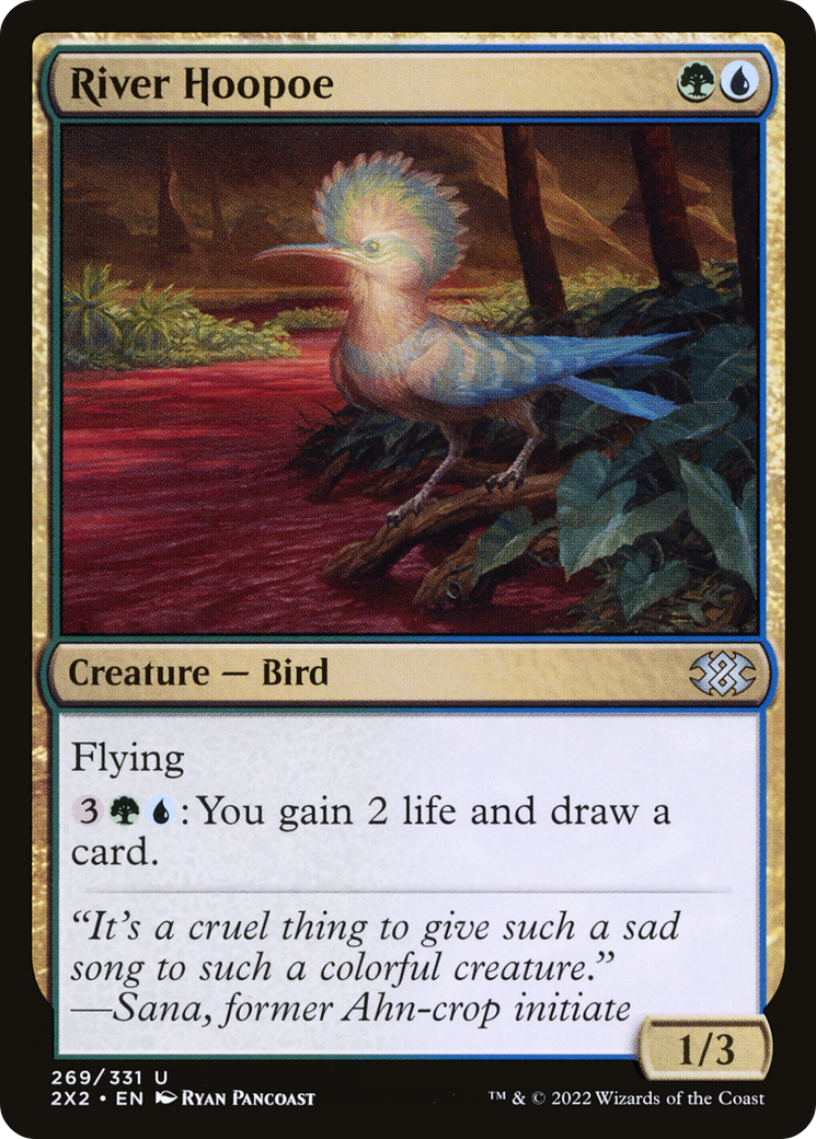River Hoopoe [2X2-269]