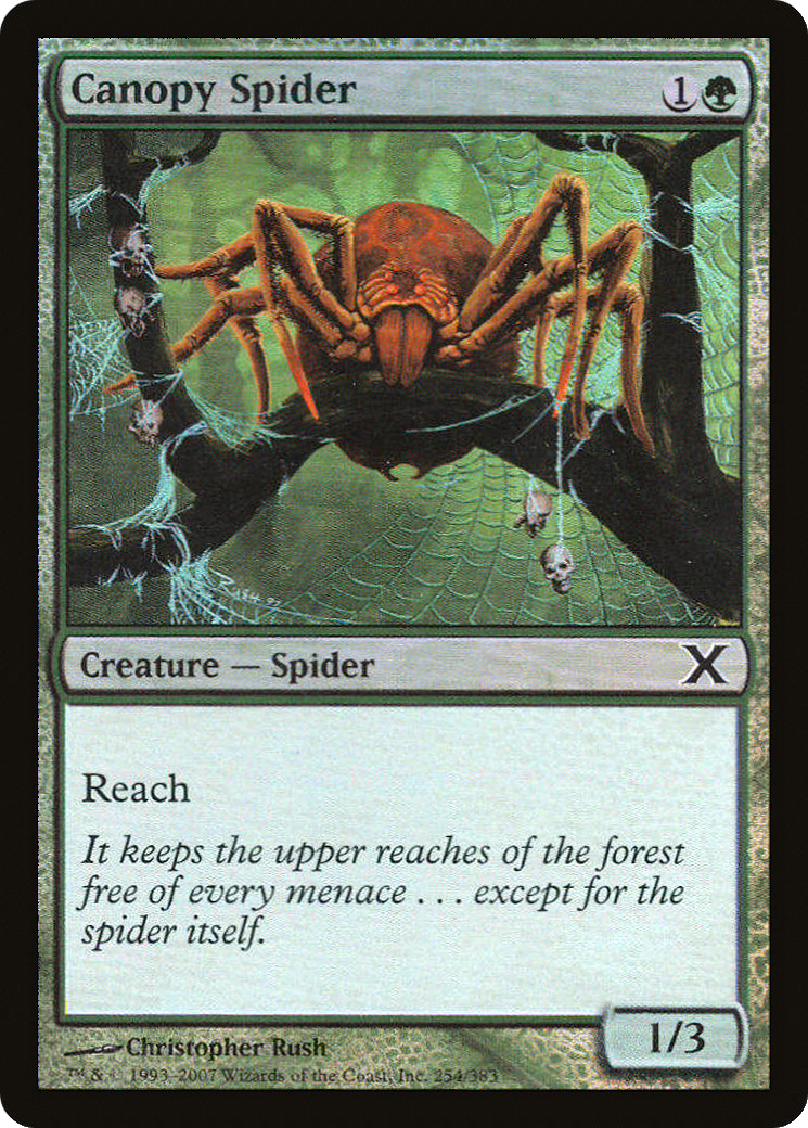 Canopy Spider [10E-254★]